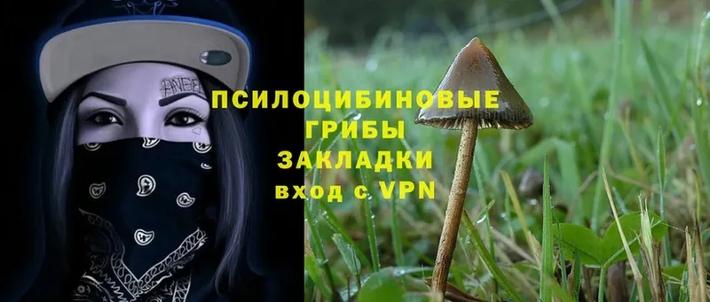 MEGA ссылка  Шуя  Псилоцибиновые грибы Psilocybine cubensis 